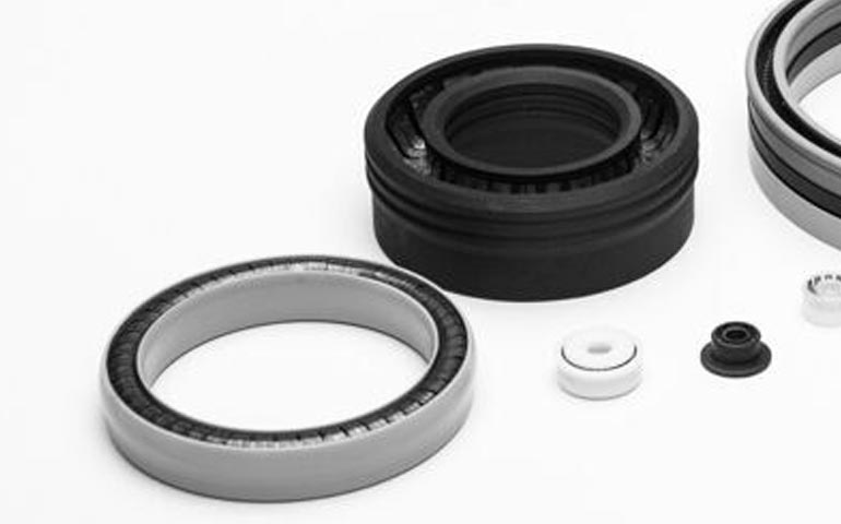 Spring-Energized Seals